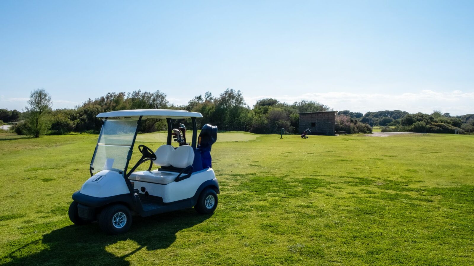golf cart sheds